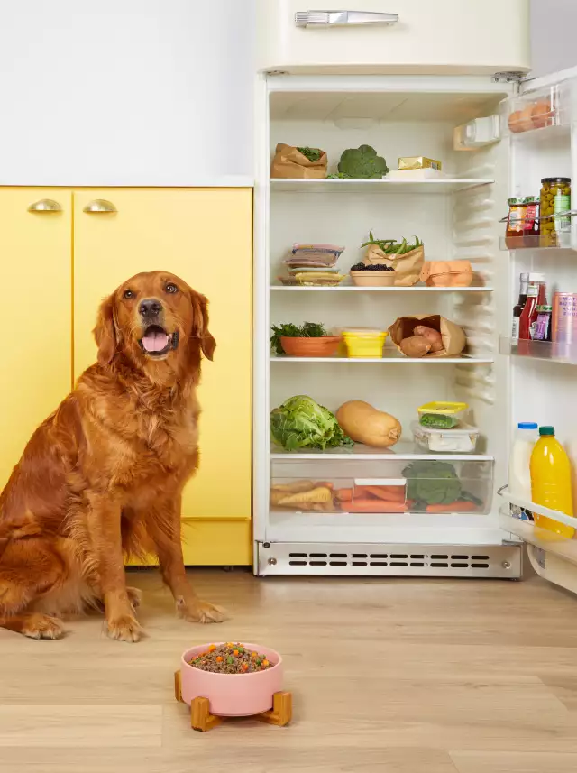 -60% Rabatt auf die ersten 2 Boxen 